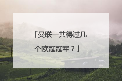 曼联一共得过几个欧冠冠军？