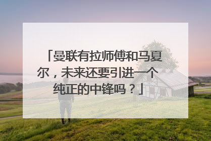 曼联有拉师傅和马夏尔，未来还要引进一个纯正的中锋吗？