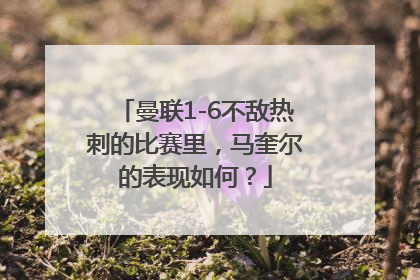 曼联1-6不敌热刺的比赛里，马奎尔的表现如何？