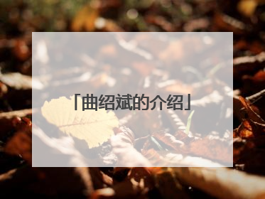 曲绍斌的介绍