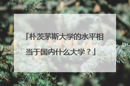 朴茨茅斯大学的水平相当于国内什么大学？