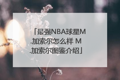 最强NBA球星M.加索尔怎么样 M.加索尔图鉴介绍