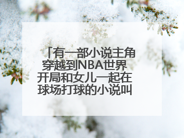 有一部小说主角穿越到NBA世界开局和女儿一起在球场打球的小说叫什么名字