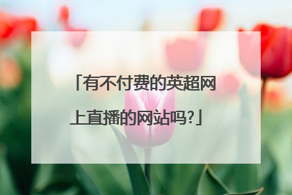 有不付费的英超网上直播的网站吗?