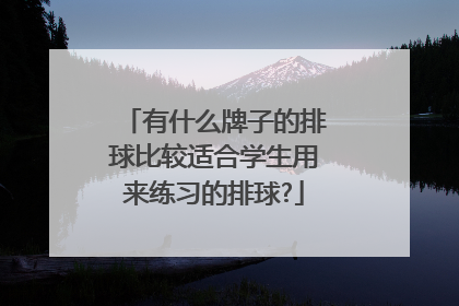 有什么牌子的排球比较适合学生用来练习的排球?