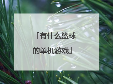 有什么篮球的单机游戏