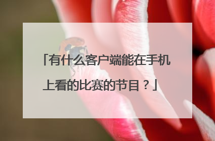 有什么客户端能在手机上看的比赛的节目？