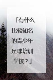 有什么比较知名的青少年足球培训学校？