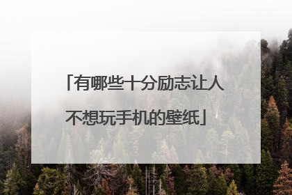 有哪些十分励志让人不想玩手机的壁纸