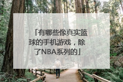 有哪些像真实篮球的手机游戏，除了NBA系列的