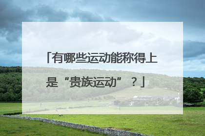 有哪些运动能称得上是“贵族运动”？