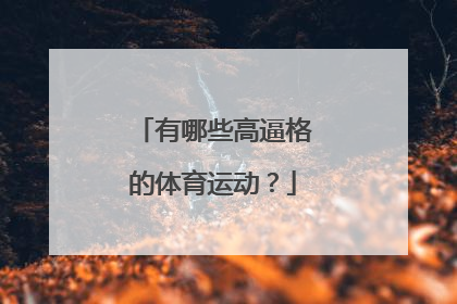 有哪些高逼格的体育运动？