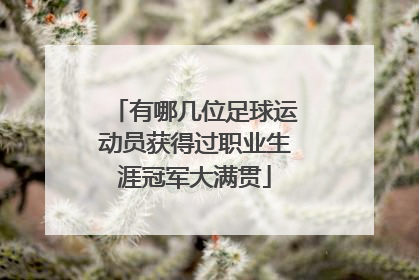 有哪几位足球运动员获得过职业生涯冠军大满贯