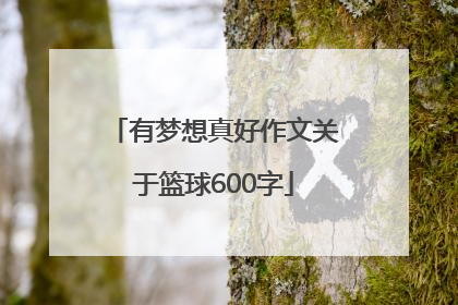 有梦想真好作文关于篮球600字