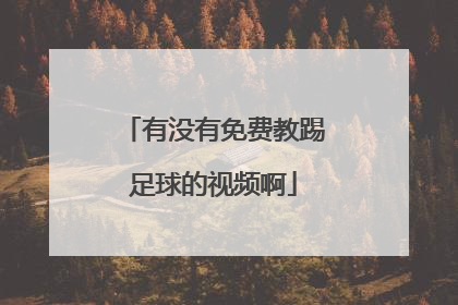 有没有免费教踢足球的视频啊