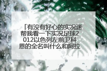 有没有好心的实况迷帮我看一下实况足球2012以色列左前卫科恩的全名叫什么和阿拉巴的具体位置