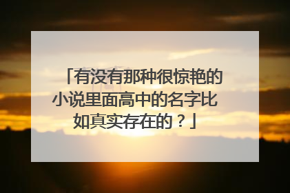 有没有那种很惊艳的小说里面高中的名字比如真实存在的？