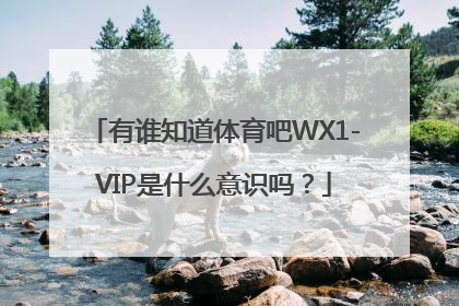 有谁知道体育吧WX1-VIP是什么意识吗？