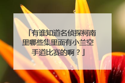 有谁知道名侦探柯南里哪些集里面有小兰空手道比赛的啊？