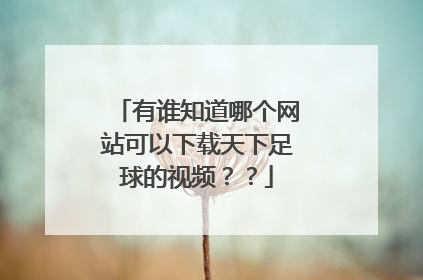 有谁知道哪个网站可以下载天下足球的视频？？