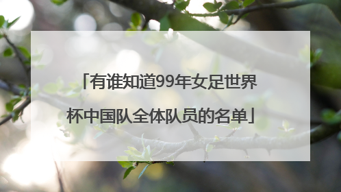 有谁知道99年女足世界杯中国队全体队员的名单