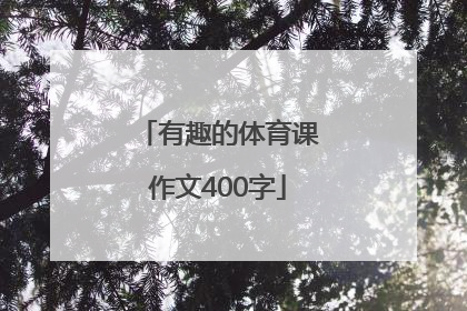 有趣的体育课作文400字