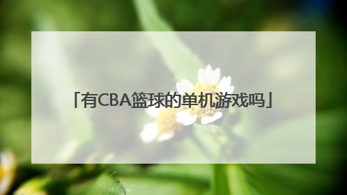 有CBA篮球的单机游戏吗