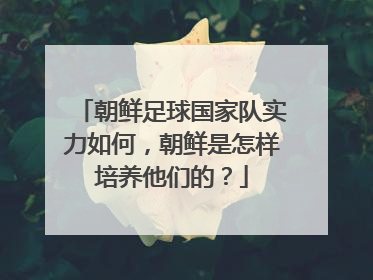 朝鲜足球国家队实力如何，朝鲜是怎样培养他们的？