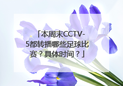 本周末CCTV-5都转播哪些足球比赛？具体时间？