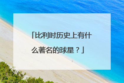 比利时历史上有什么著名的球星？