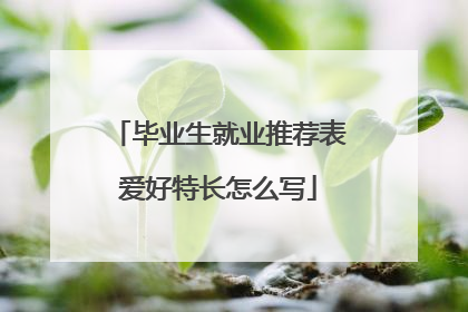 毕业生就业推荐表爱好特长怎么写