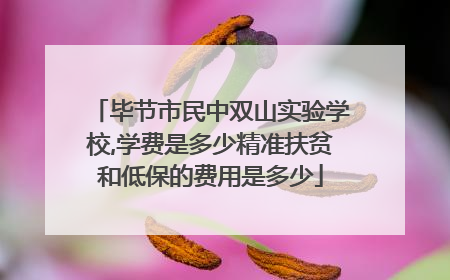 毕节市民中双山实验学校,学费是多少精准扶贫和低保的费用是多少