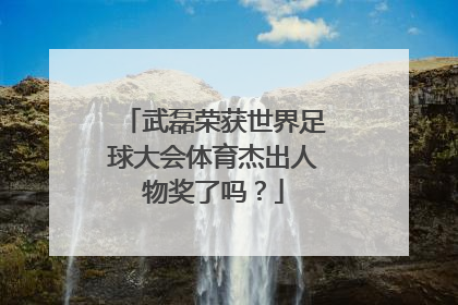 武磊荣获世界足球大会体育杰出人物奖了吗？