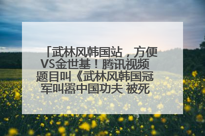 武林风韩国站，方便VS金世基！腾讯视频题目叫《武林风韩国冠军叫嚣中国功夫 被死神KO》，韩国选手