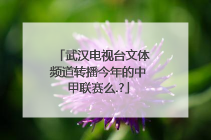 武汉电视台文体频道转播今年的中甲联赛么.?