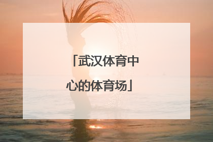 武汉体育中心的体育场