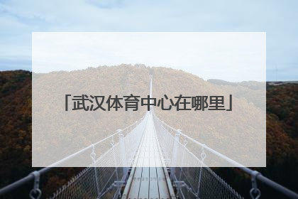 武汉体育中心在哪里