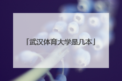 「武汉体育大学是几本」武汉体育大学是几本单招