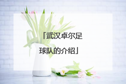 武汉卓尔足球队的介绍