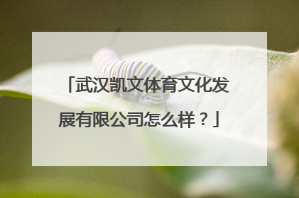 武汉凯文体育文化发展有限公司怎么样？