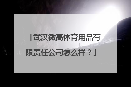 武汉微高体育用品有限责任公司怎么样？