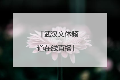 「武汉文体频道在线直播」武汉文体频道在线直播女足