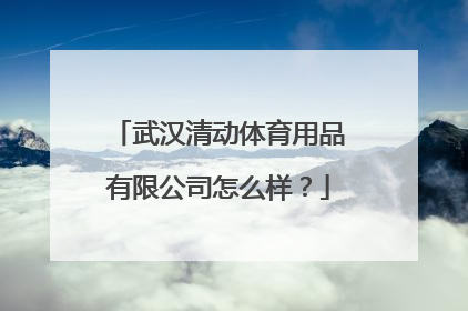 武汉清动体育用品有限公司怎么样？