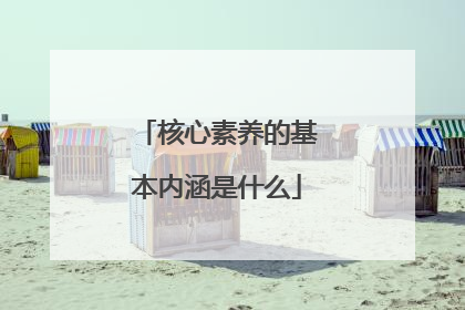 核心素养的基本内涵是什么