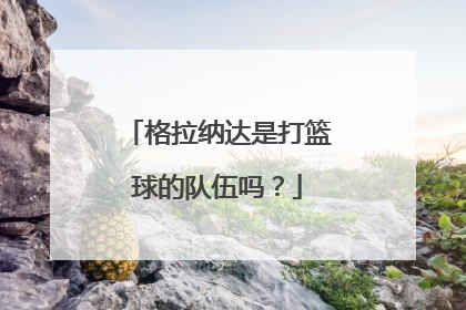 格拉纳达是打篮球的队伍吗？