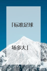 「标准足球场多大」正规足球场有多大