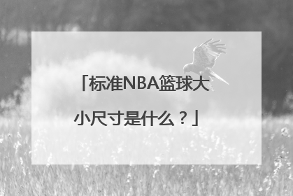 标准NBA篮球大小尺寸是什么？