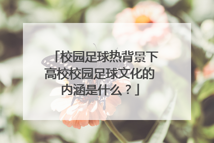 校园足球热背景下高校校园足球文化的内涵是什么？