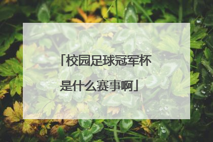 校园足球冠军杯是什么赛事啊