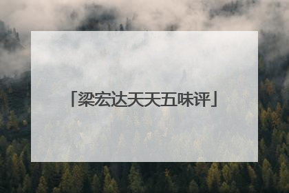 「梁宏达天天五味评」梁宏达天天五味评移民